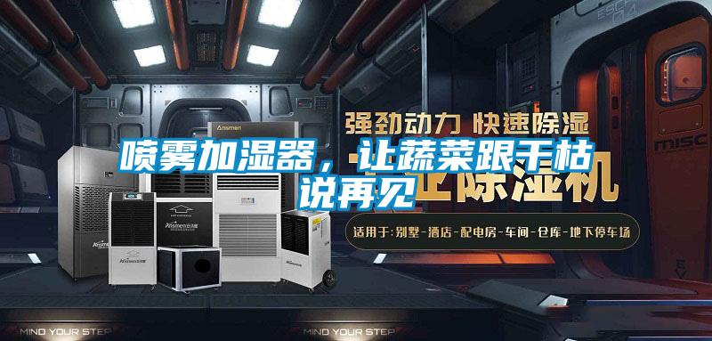 喷雾加湿器，让蔬菜跟干枯说再见