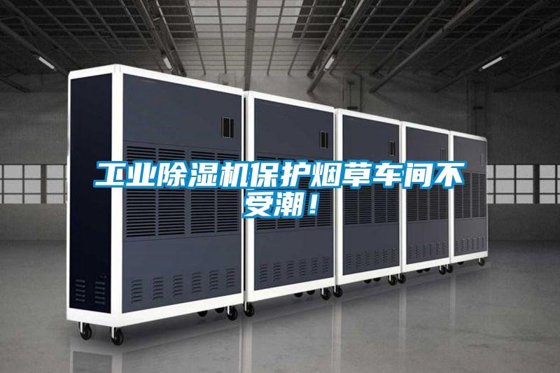 工业茄子视频懂你更多在线观看保护烟草车间不受潮！