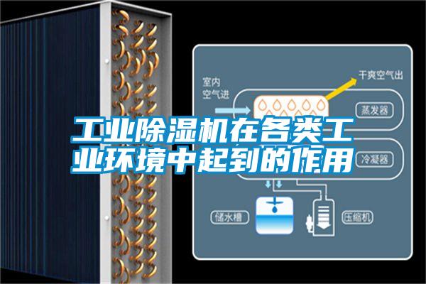 工业茄子视频懂你更多在线观看在各类工业环境中起到的作用