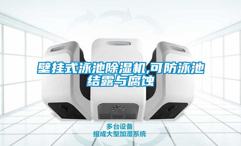 壁挂式泳池茄子视频懂你更多在线观看,可防泳池结露与腐蚀