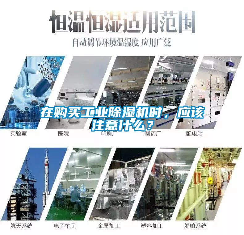 在购买工业茄子视频懂你更多在线观看时，应该注意什么？