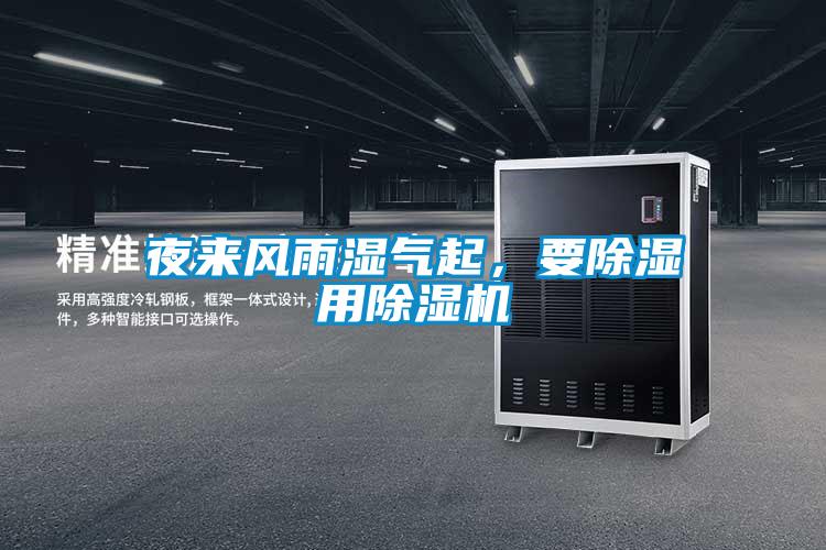 夜来风雨湿气起，要除湿用茄子视频懂你更多在线观看