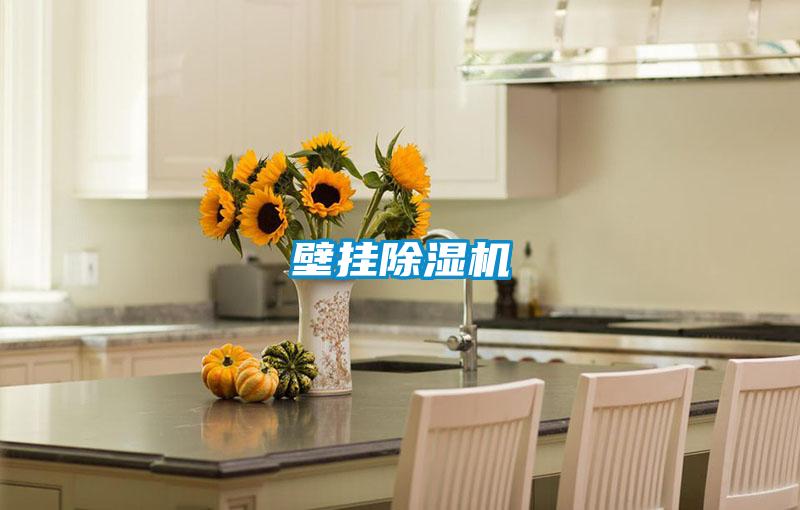 壁挂茄子视频懂你更多在线观看