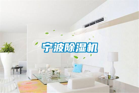 宁波茄子视频懂你更多在线观看