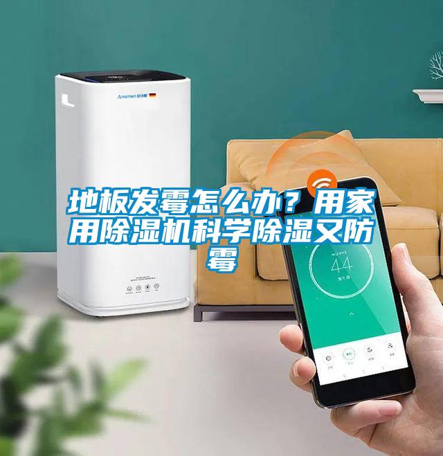 地板发霉怎么办？用家用茄子视频懂你更多在线观看科学除湿又防霉