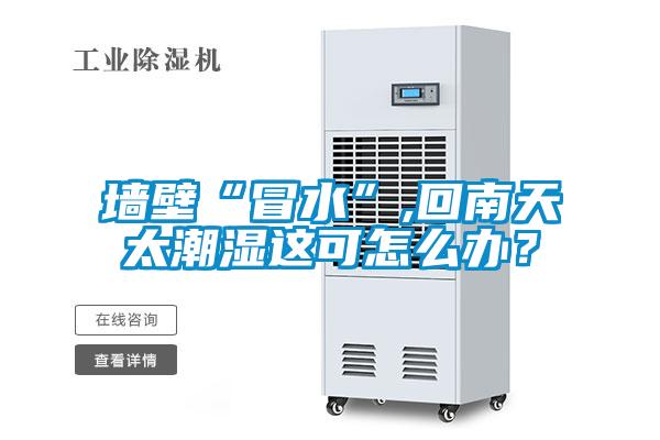 墙壁“冒水”,回南天太潮湿这可怎么办？