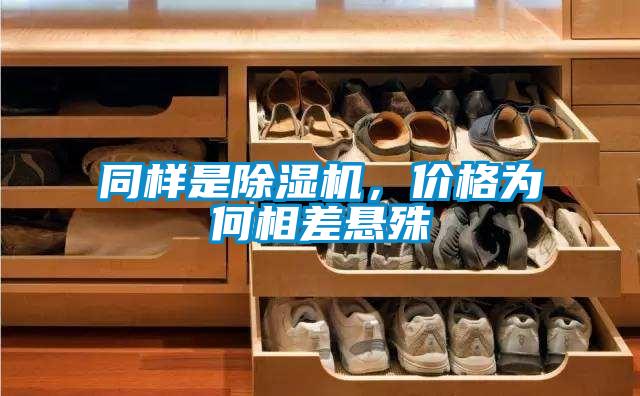 同样是茄子视频懂你更多在线观看，价格为何相差悬殊