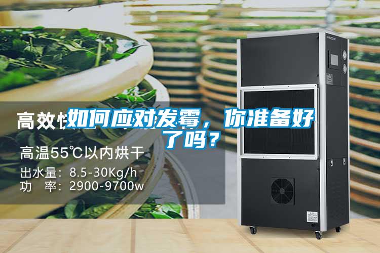 如何应对发霉，你准备好了吗？