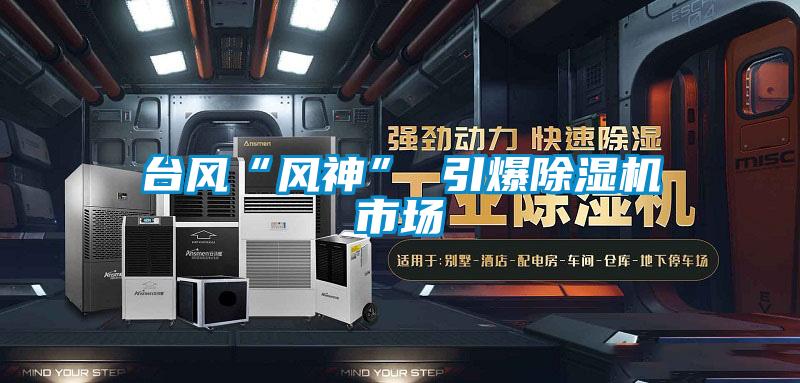 台风“风神” 引爆茄子视频懂你更多在线观看市场