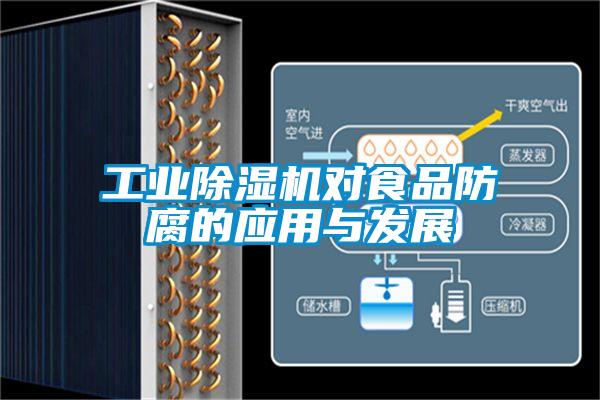 工业茄子视频懂你更多在线观看对食品防腐的应用与发展