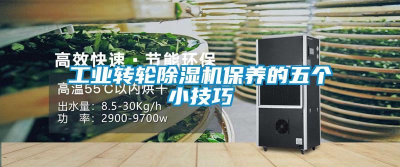 工业转轮茄子视频懂你更多在线观看保养的五个小技巧
