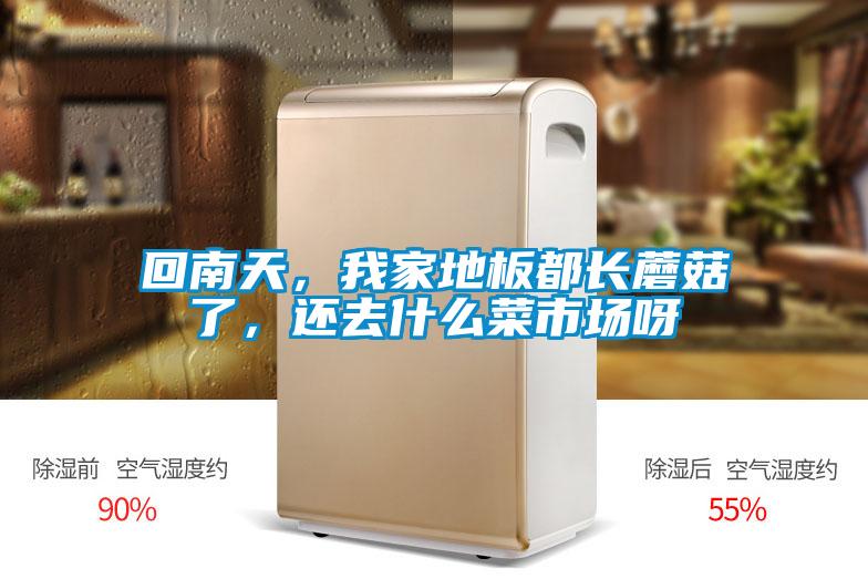 回南天，我家地板都长蘑菇了，还去什么菜市场呀