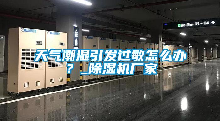 天气潮湿引发过敏怎么办？_茄子视频懂你更多在线观看厂家