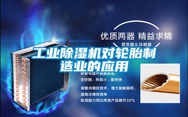 工业茄子视频懂你更多在线观看对轮胎制造业的应用