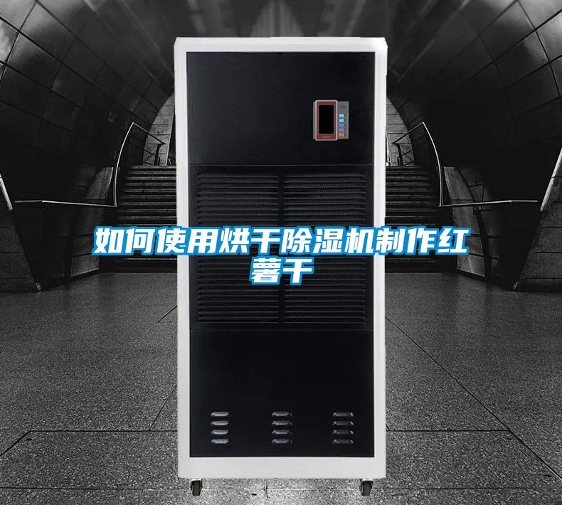 如何使用烘干茄子视频懂你更多在线观看制作红薯干