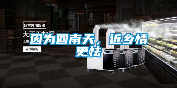 因为回南天，近乡情更怯