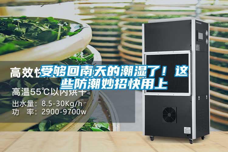 受够回南天的潮湿了！这些防潮妙招快用上