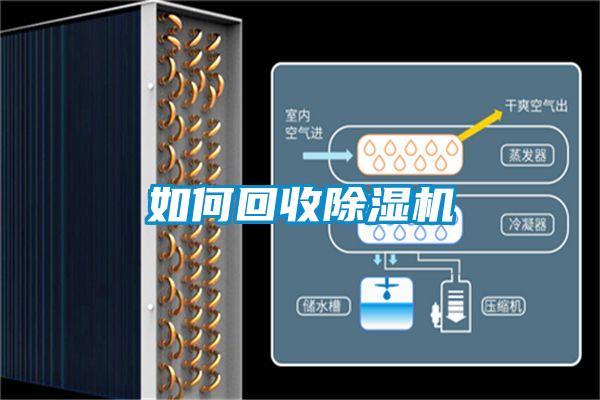 如何回收茄子视频懂你更多在线观看