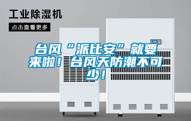 台风“派比安”就要来啦！台风天防潮不可少！