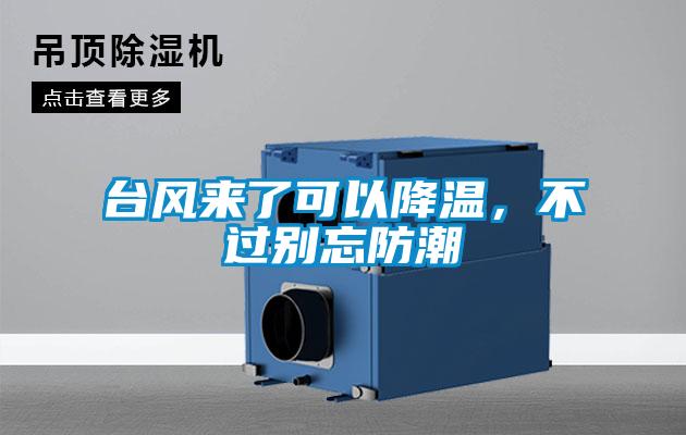 台风来了可以降温，不过别忘防潮