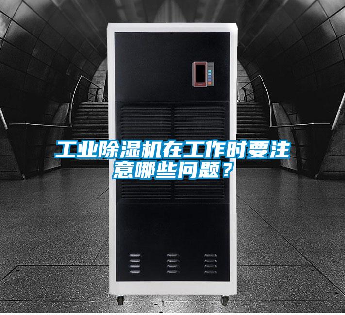 工业茄子视频懂你更多在线观看在工作时要注意哪些问题？