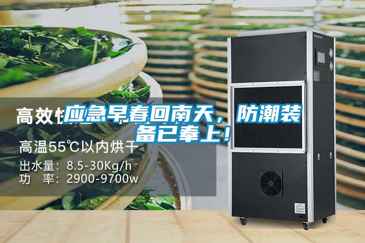 应急早春回南天，防潮装备已奉上！