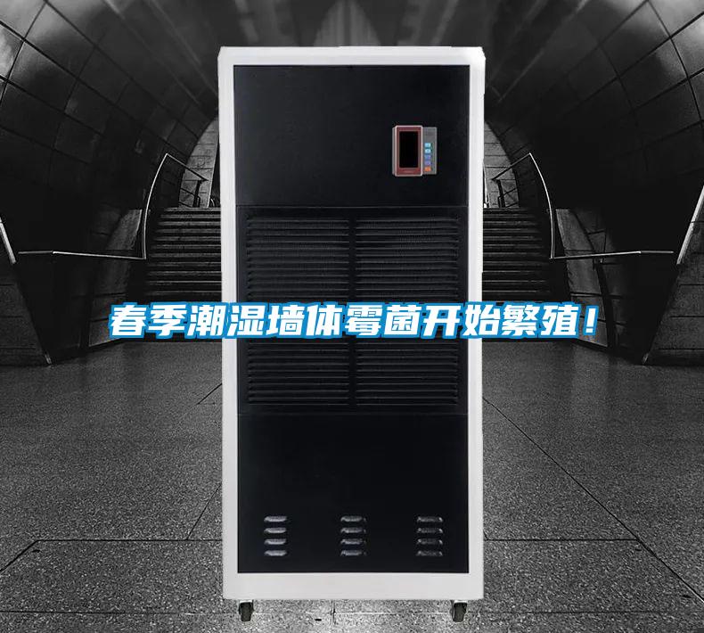 春季潮湿墙体霉菌开始繁殖！