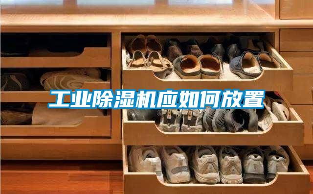 工业茄子视频懂你更多在线观看应如何放置