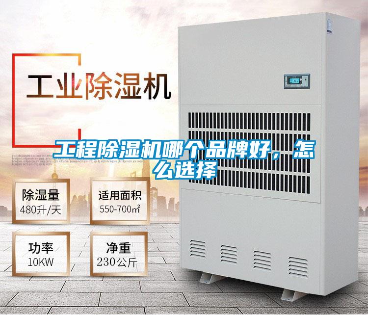 工程茄子视频懂你更多在线观看哪个品牌好，怎么选择