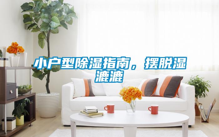 小户型除湿指南，摆脱湿漉漉