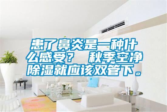 患了鼻炎是一种什么感受？ 秋季空净除湿就应该双管下。