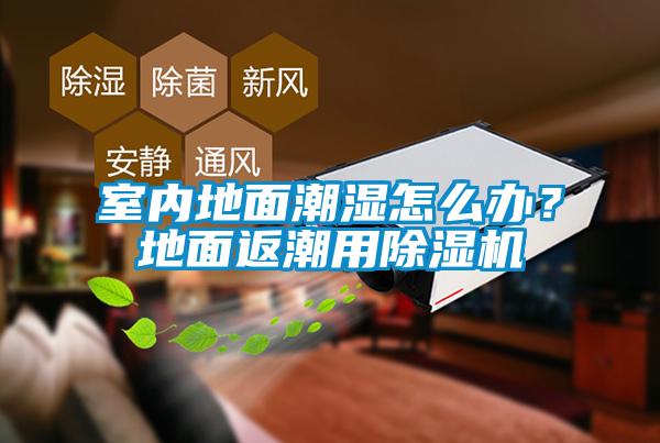 室内地面潮湿怎么办？地面返潮用茄子视频懂你更多在线观看