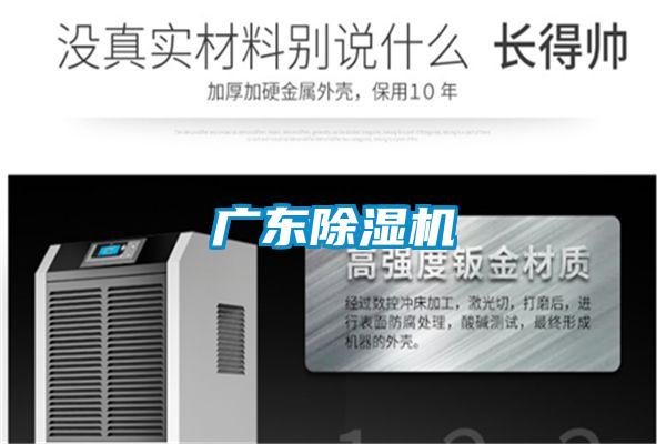 广东茄子视频懂你更多在线观看