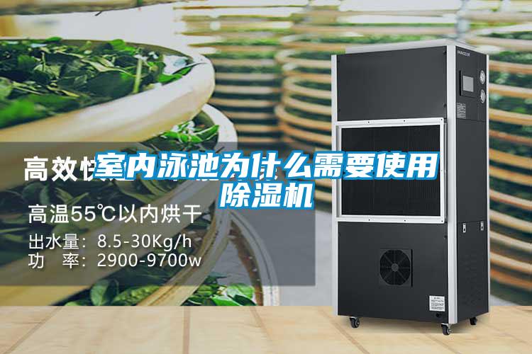 室内泳池为什么需要使用茄子视频懂你更多在线观看