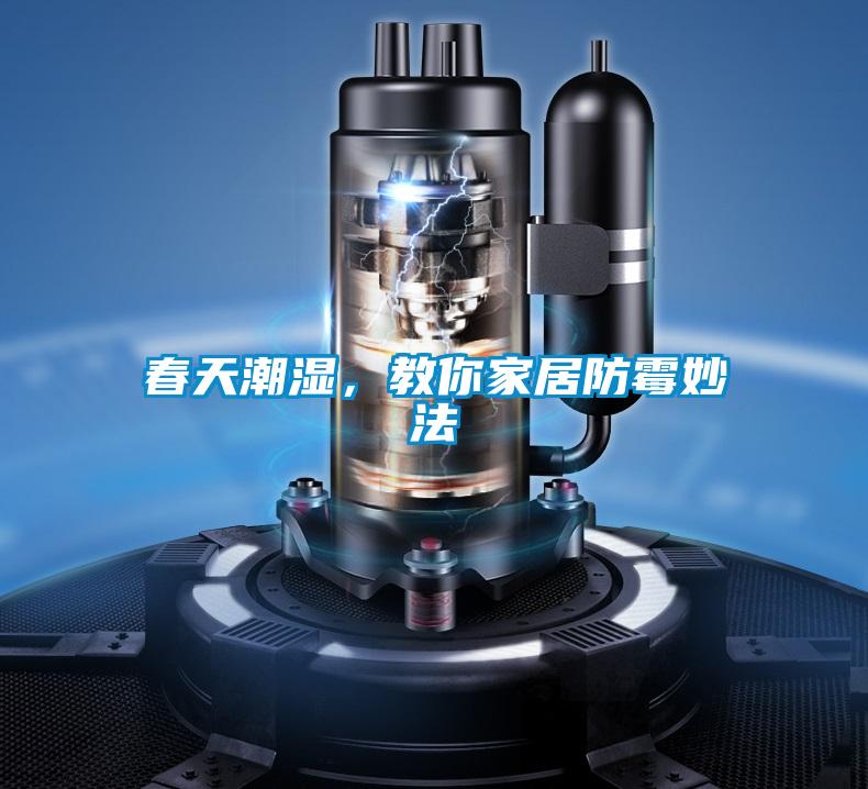 春天潮湿，教你家居防霉妙法