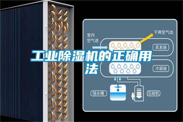 工业茄子视频懂你更多在线观看的正确用法