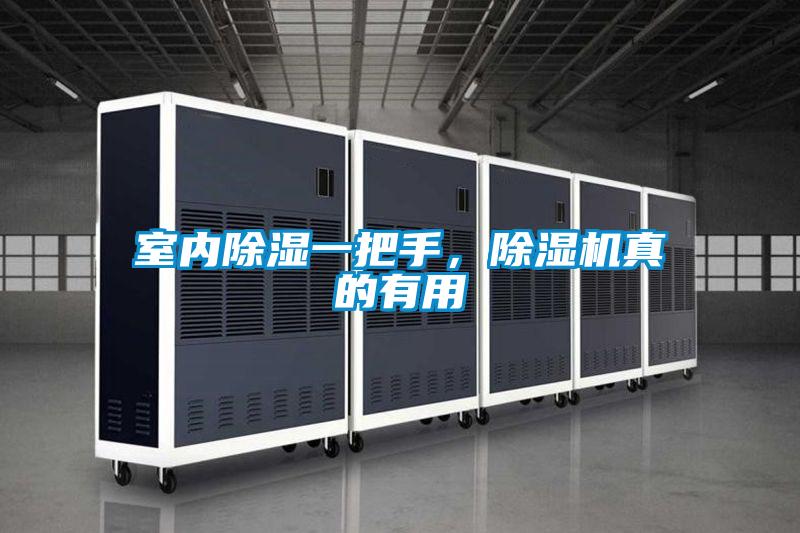 室内除湿一把手，茄子视频懂你更多在线观看真的有用