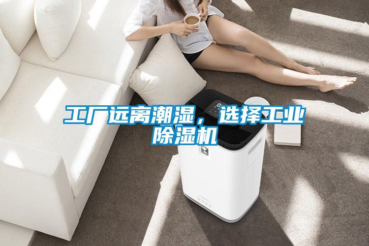 工厂远离潮湿，选择工业茄子视频懂你更多在线观看