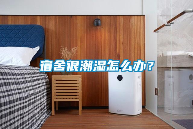 宿舍很潮湿怎么办？