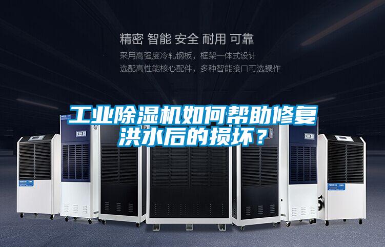 工业茄子视频懂你更多在线观看如何帮助修复洪水后的损坏？