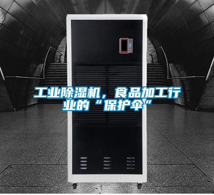 工业茄子视频懂你更多在线观看，食品加工行业的“保护伞”