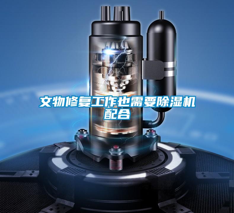 文物修复工作也需要茄子视频懂你更多在线观看配合