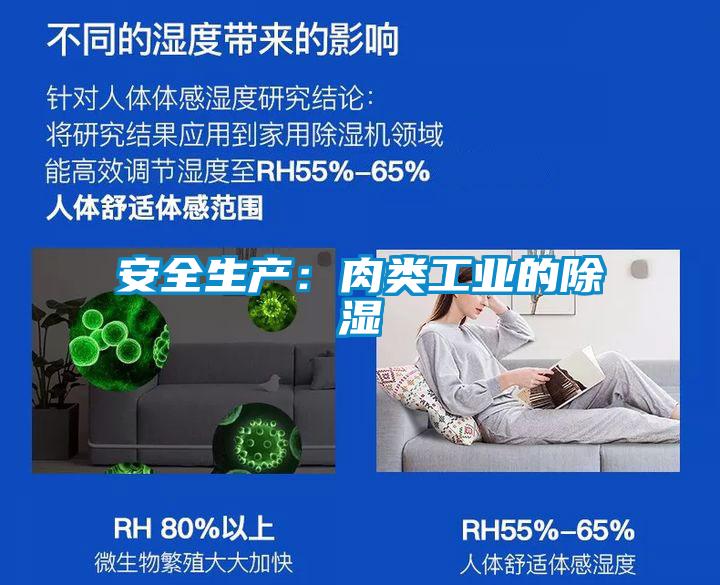 安全生产：肉类工业的除湿