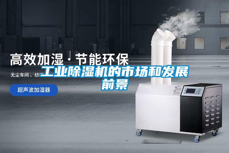 工业茄子视频懂你更多在线观看的市场和发展前景