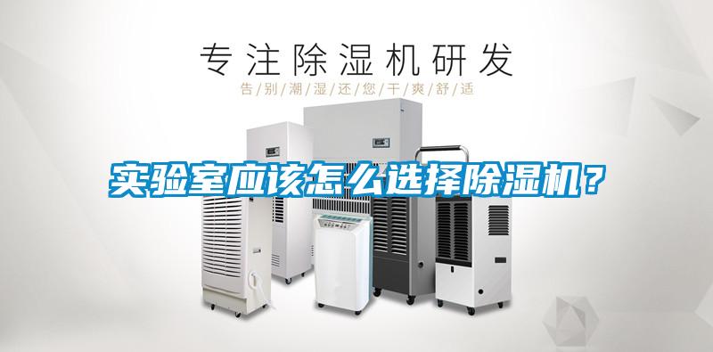 实验室应该怎么选择茄子视频懂你更多在线观看？