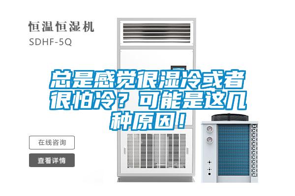 总是感觉很湿冷或者很怕冷？可能是这几种原因！