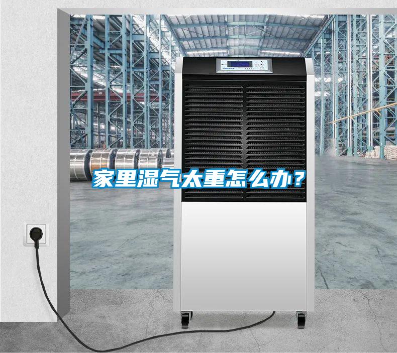 家里湿气太重怎么办？