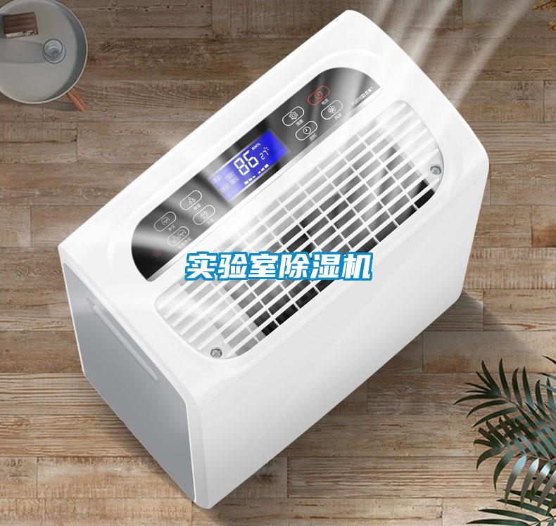 实验室茄子视频懂你更多在线观看