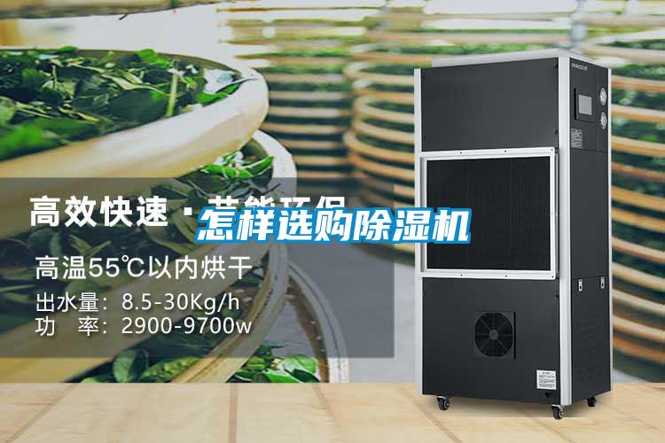 怎样选购茄子视频懂你更多在线观看