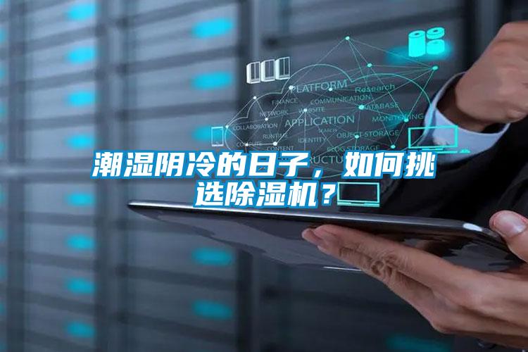 潮湿阴冷的日子，如何挑选茄子视频懂你更多在线观看？